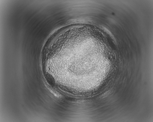 X0000073521035200608281728