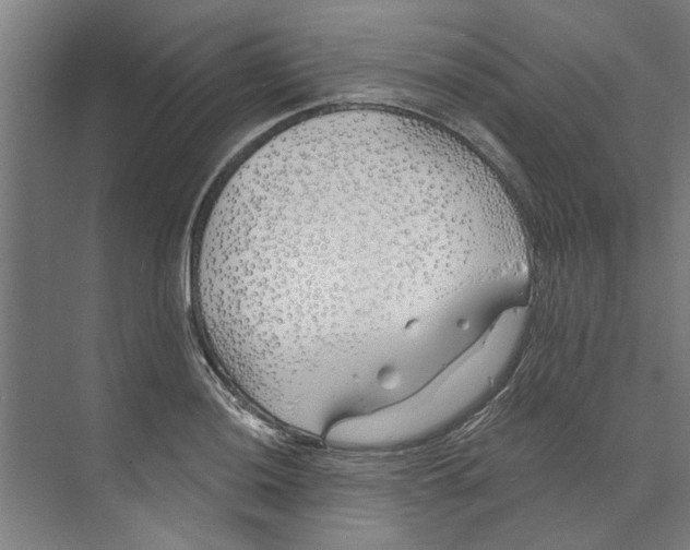 X0000073521036200608281728