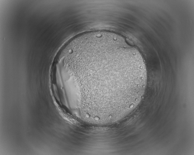 X0000073521039200608281728