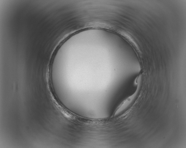 X0000073521040200608281728