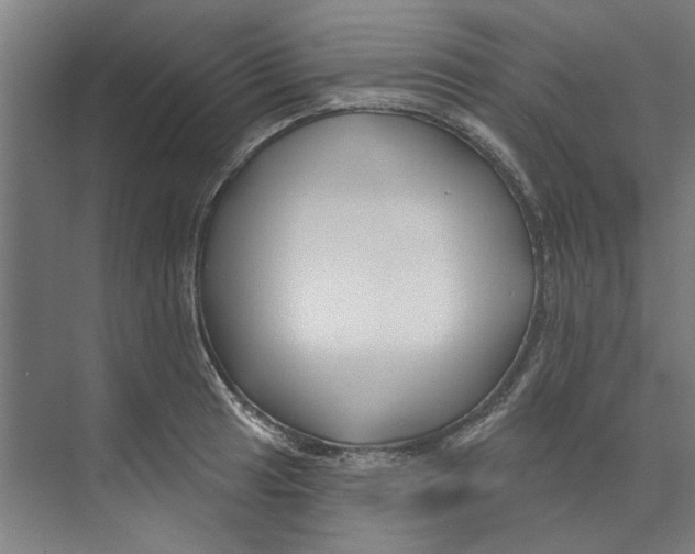 X0000073521041200608281728