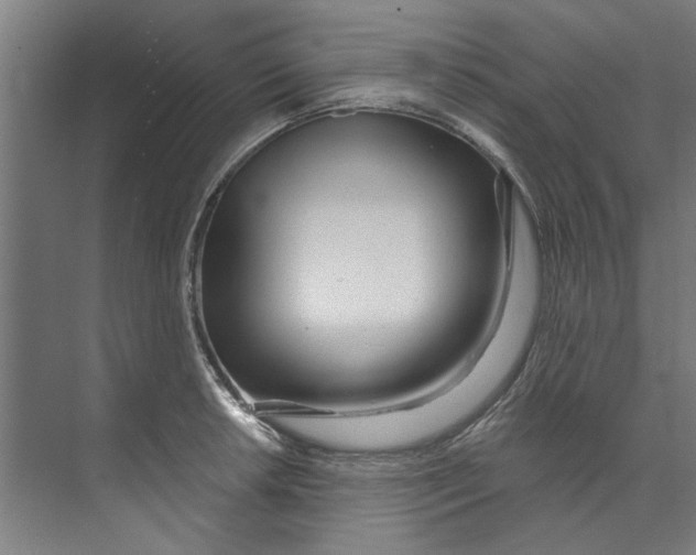 X0000073521042200608281728