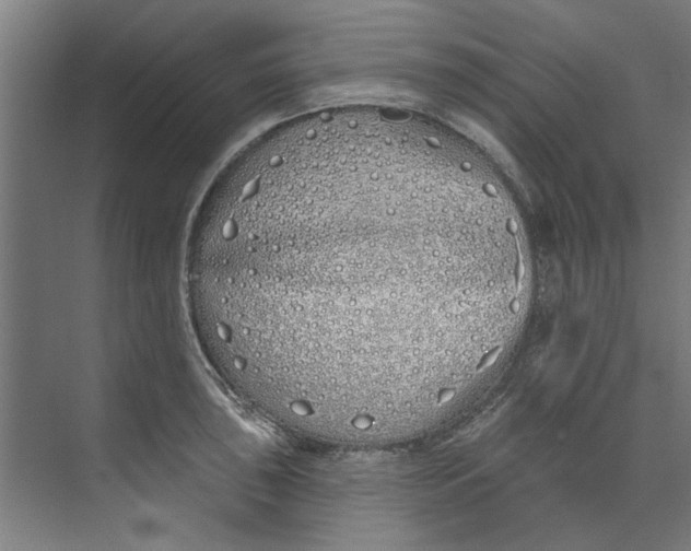 X0000073521043200608281728