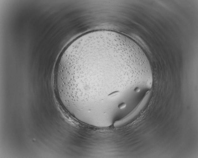 X0000073521044200608281728