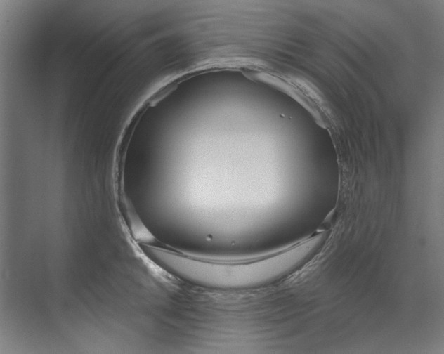 X0000073521046200608281728