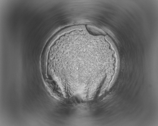 X0000073521047200608281728