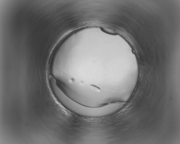 X0000073521048200608281728