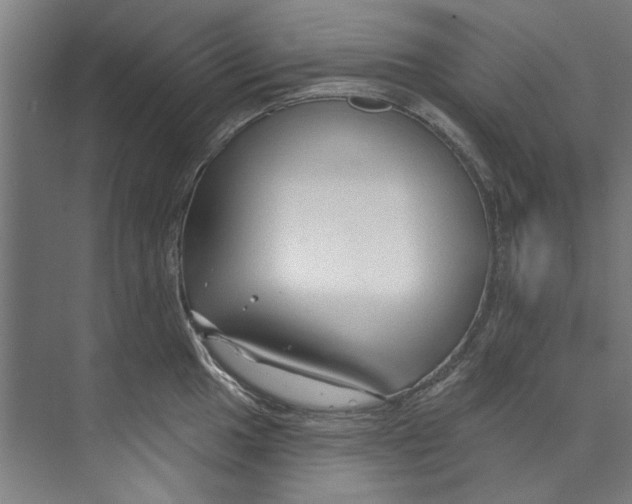 X0000073521049200608281728