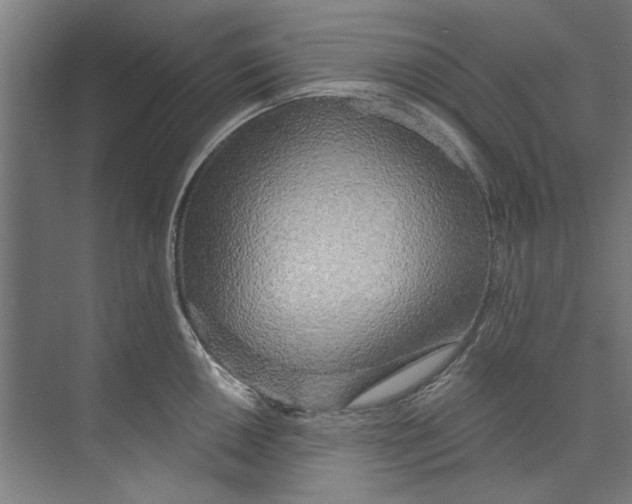 X0000073521050200608281728