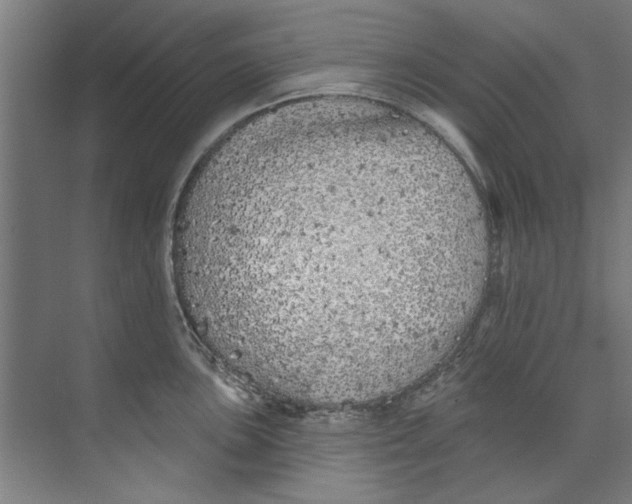 X0000073521051200608281728