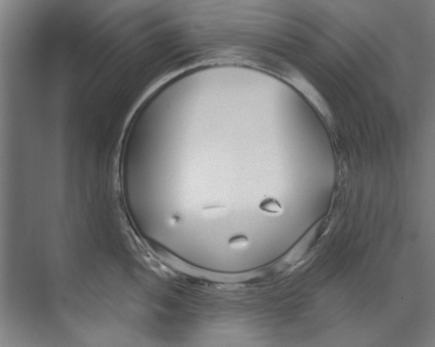 X0000073521052200608281728