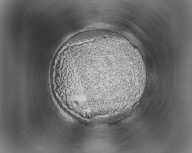 X0000073521055200608281728