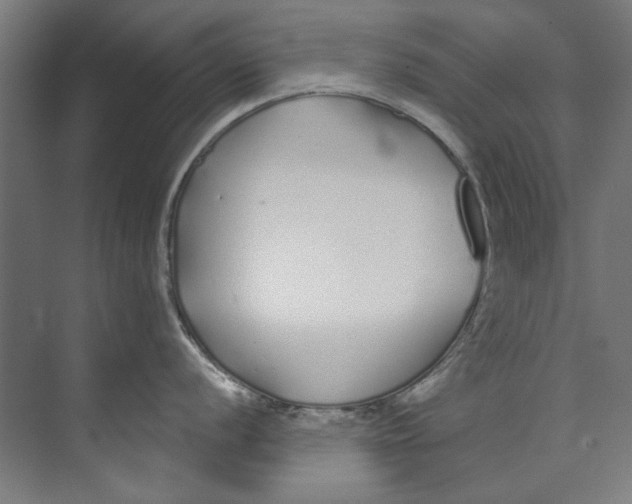 X0000073521056200608281728