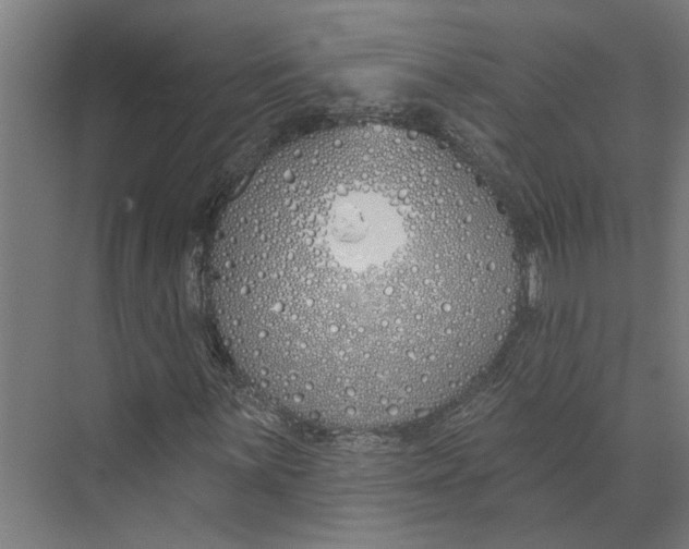 X0000073521059200608281727