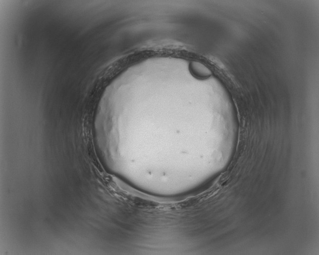 X0000073521063200608281727