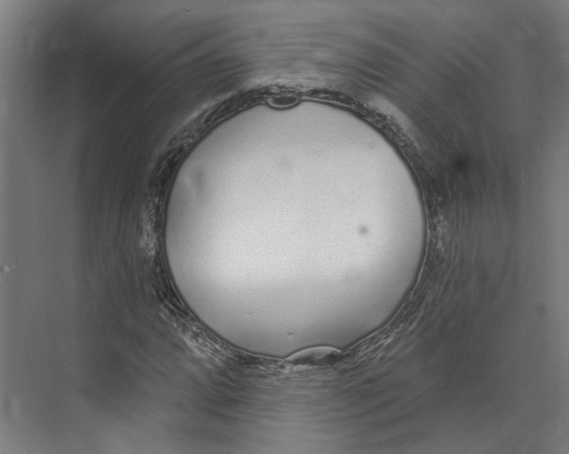 X0000073521064200608281727