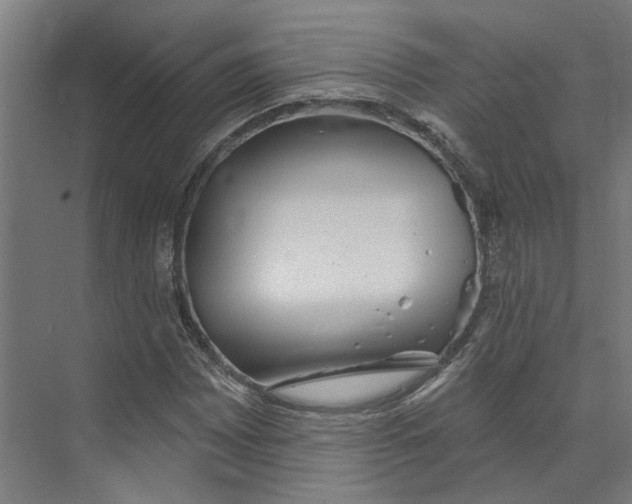 X0000073521065200608281727