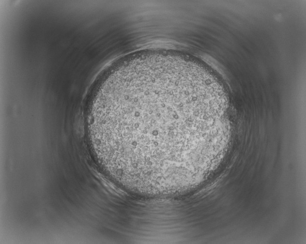 X0000073521067200608281727