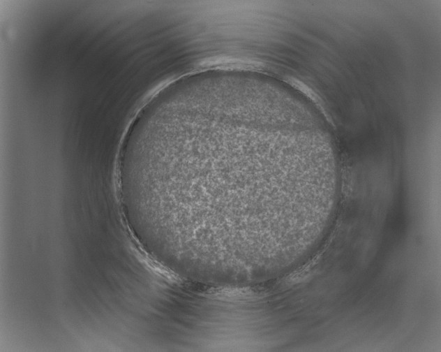 X0000073521074200608281727