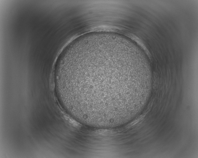 X0000073521075200608281727