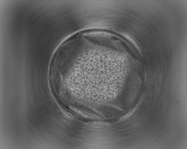 X0000073521077200608281727