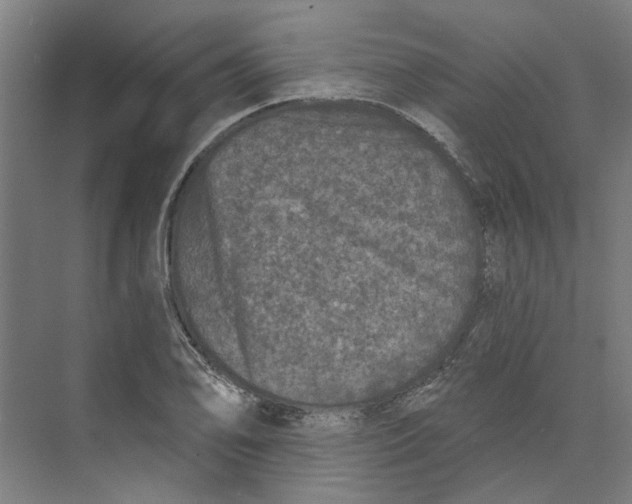 X0000073521078200608281727