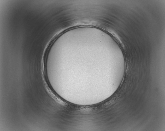 X0000073521080200608281727