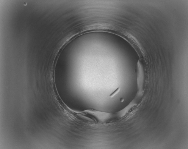 X0000073521081200608281727