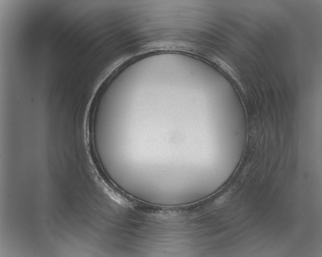 X0000073521082200608281727