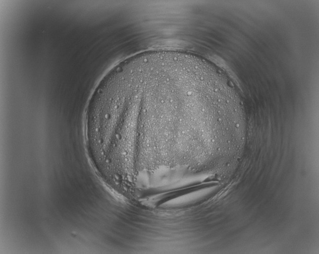 X0000073521083200608281727