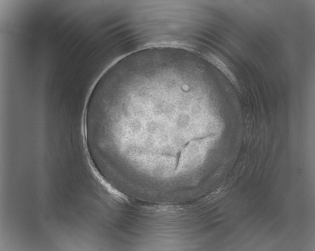 X0000073521084200608281727