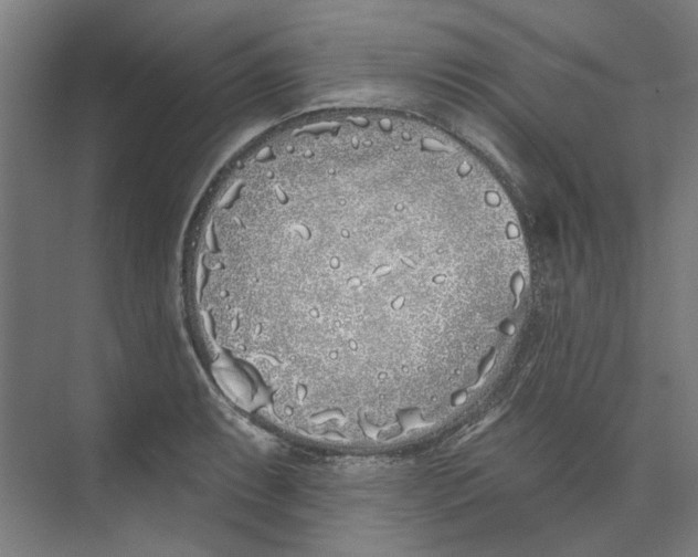 X0000073521087200608281727