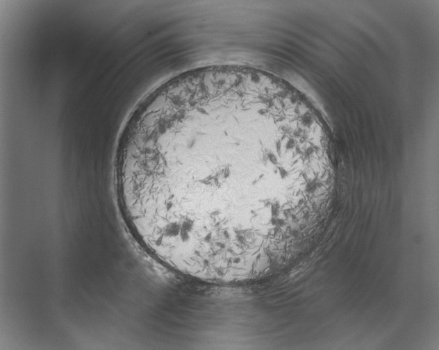 X0000073521088200608281727