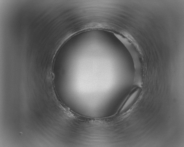 X0000073521089200608281727