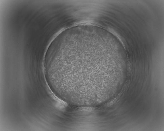 X0000073521090200608281727