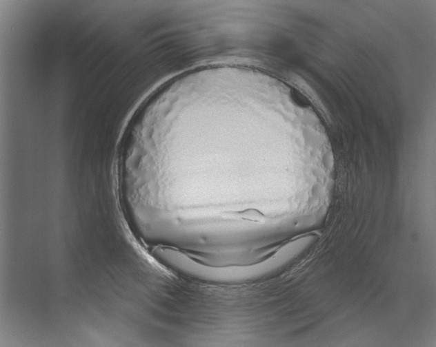 X0000073521092200608281727