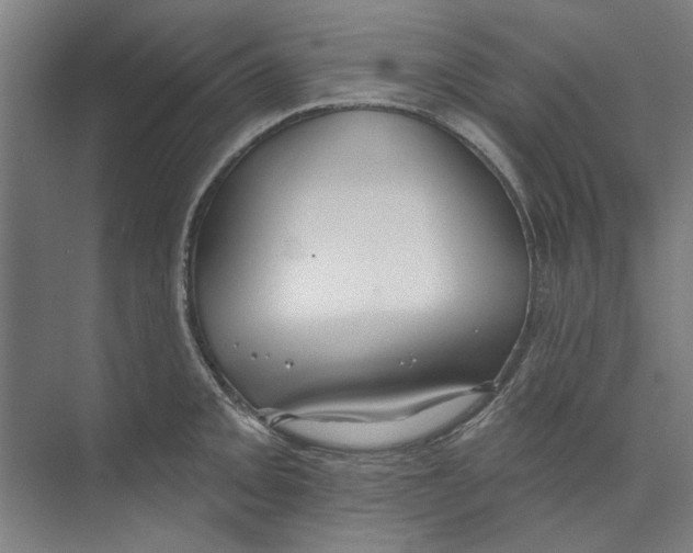 X0000073521093200608281727