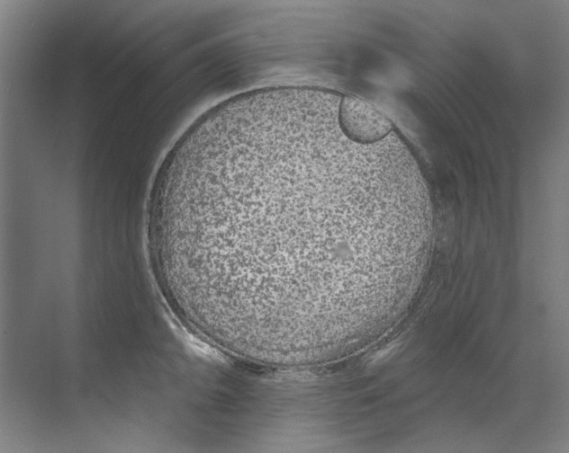 X0000073521094200608281727