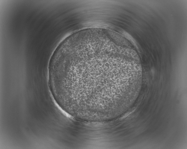 X0000073521095200608281727