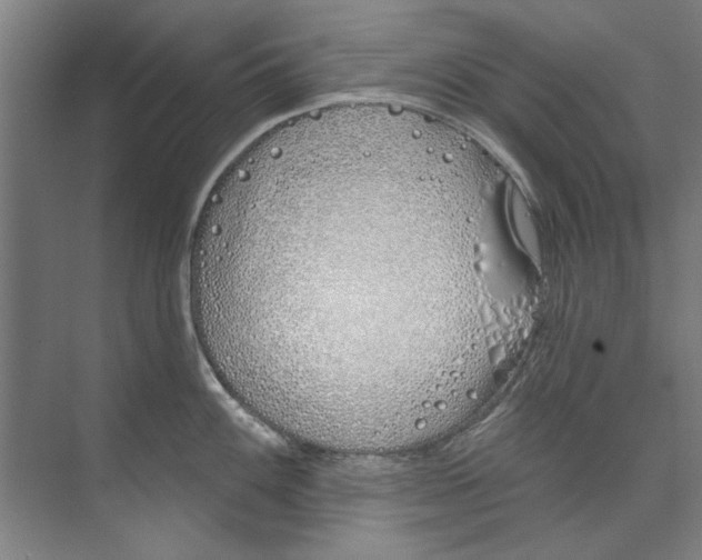 X0000073521100200608281727