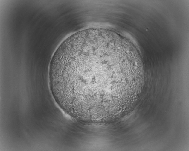 X0000073521103200608281727