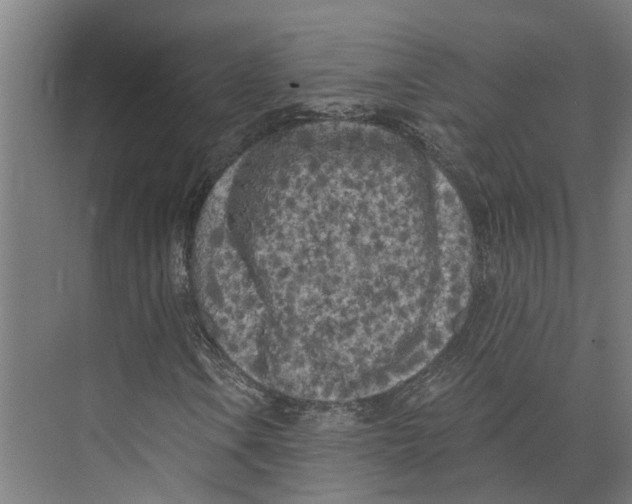 X0000073521106200608281726