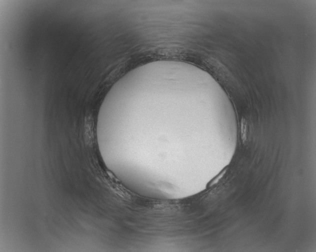 X0000073521107200608281726