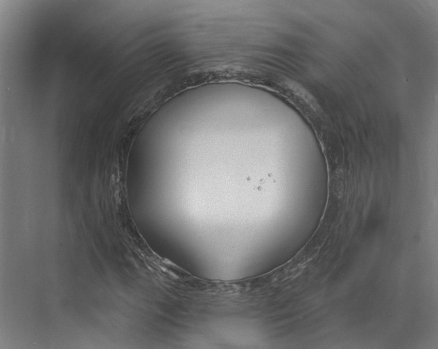 X0000073521111200608281726