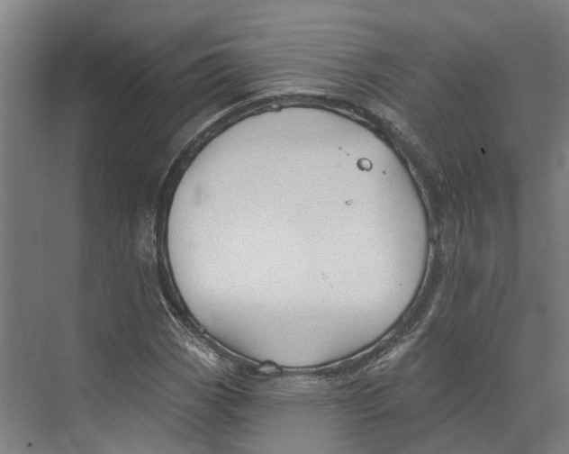 X0000073521113200608281726