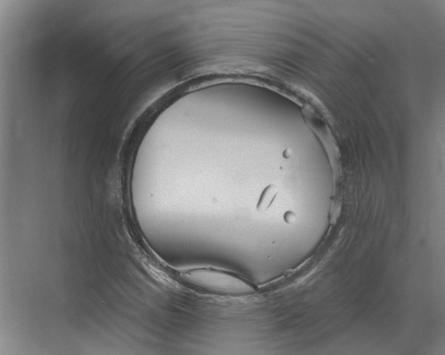 X0000073521114200608281726