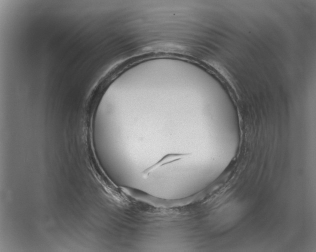 X0000073521115200608281726