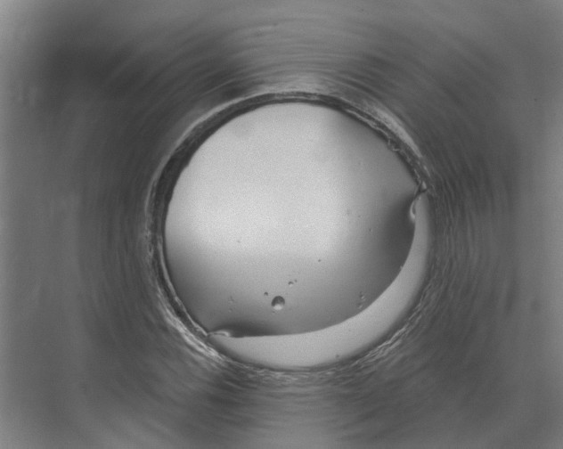 X0000073521116200608281726