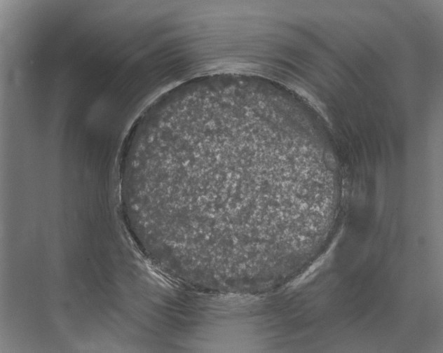 X0000073521117200608281726