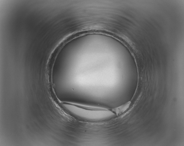 X0000073521118200608281726